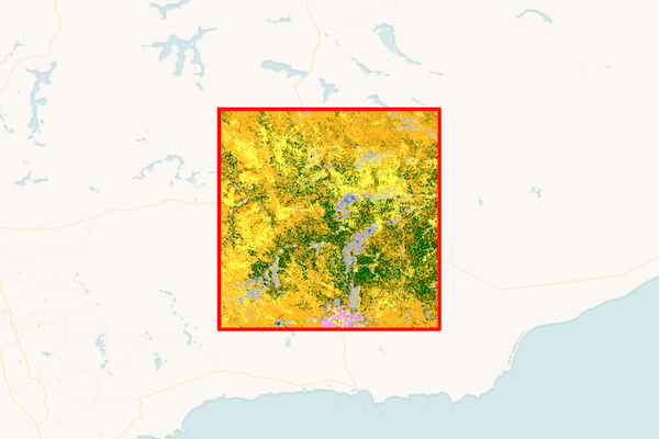 ESA WorldCover tile